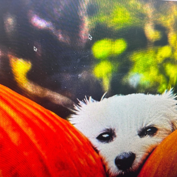 PATRICIA NASH MILAN ITALY-NWT $199.00 - Picture 15 of 15